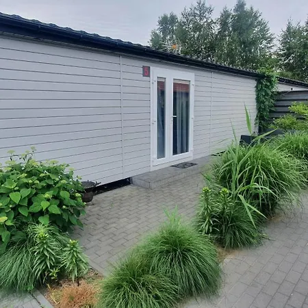 Kamien Baltyku * Rowy