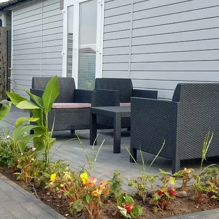 Kamien Baltyku Rowy (Pomerania)