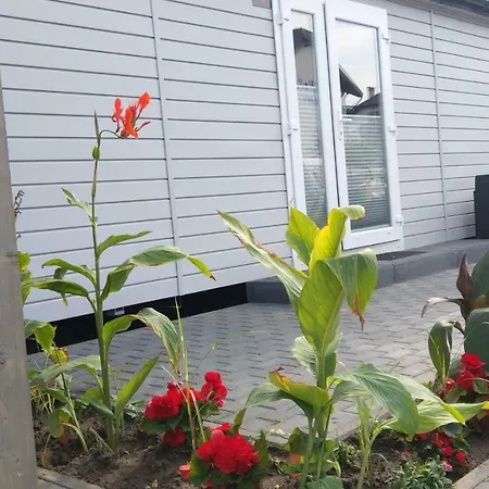 Kamien Baltyku Campeggio