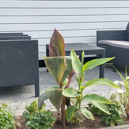 Kamien Baltyku * Rowy (Pomerania)