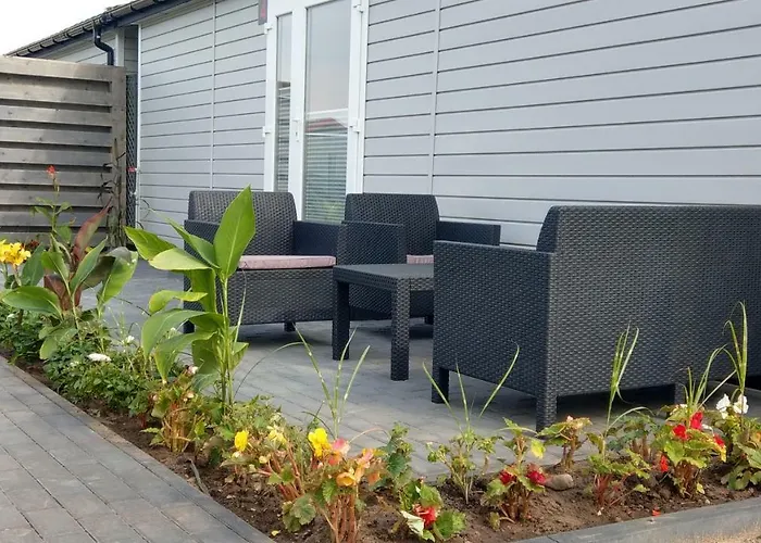 Kamien Baltyku روفي