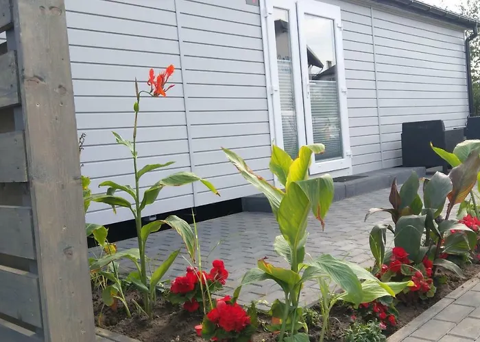 Kamien Baltyku مكان تخييم