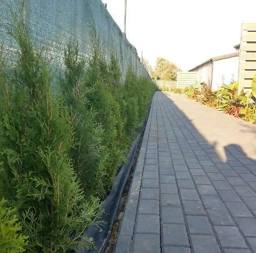 مكان تخييم Kamien Baltyku